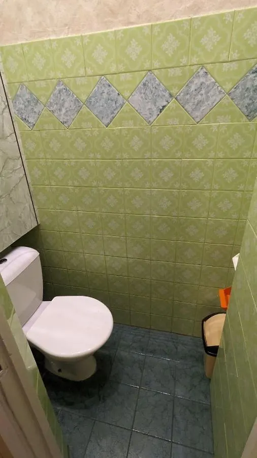 Apartment On Mykhailivs'Kyi Lane Kiev